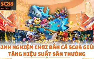 Kinh Nghiệm Chơi Bắn Cá SC88 Giúp Tăng Hiệu Suất Săn Thưởng